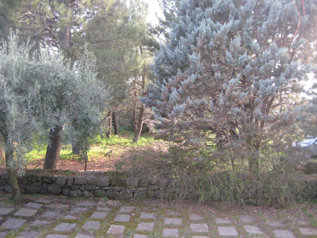 La Casa Del Cavaliere Villa Santa Maria di Licodia Ruang foto