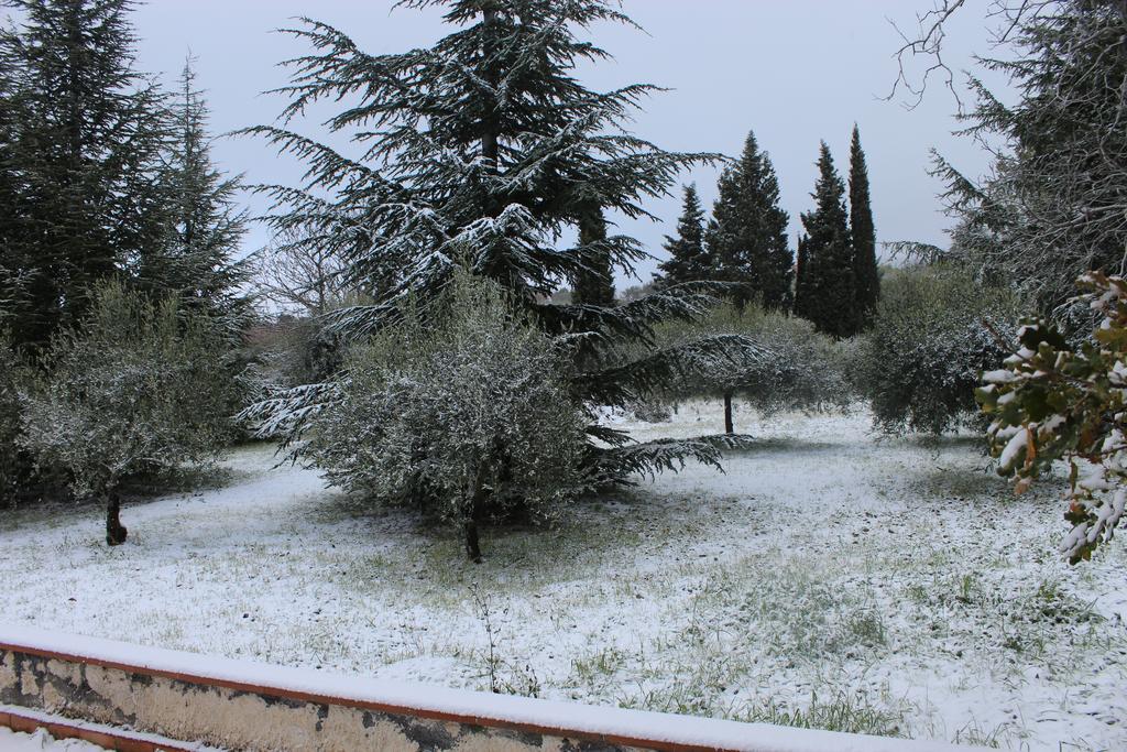 La Casa Del Cavaliere Villa Santa Maria di Licodia Bagian luar foto